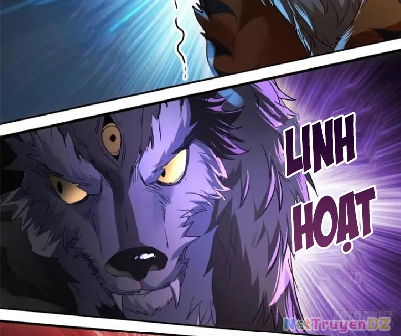 Hồng Hoang: Bắt Đầu Từ Việc Nhận Minh Hà Làm Con Gái Nuôi Chapter 13 - Next Chapter 14