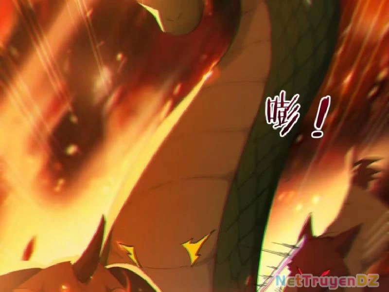 Ta thật sự không muốn làm thánh tiên Chapter 83 - Trang 3