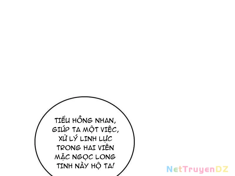 Ta Là Tà Đế Chapter 533 - Trang 4