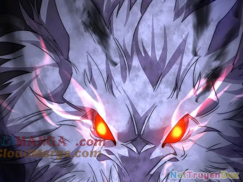 Võng Du: Ta Có Thể Tiến Hóa Thành Mọi Thứ Chapter 13 - Trang 2