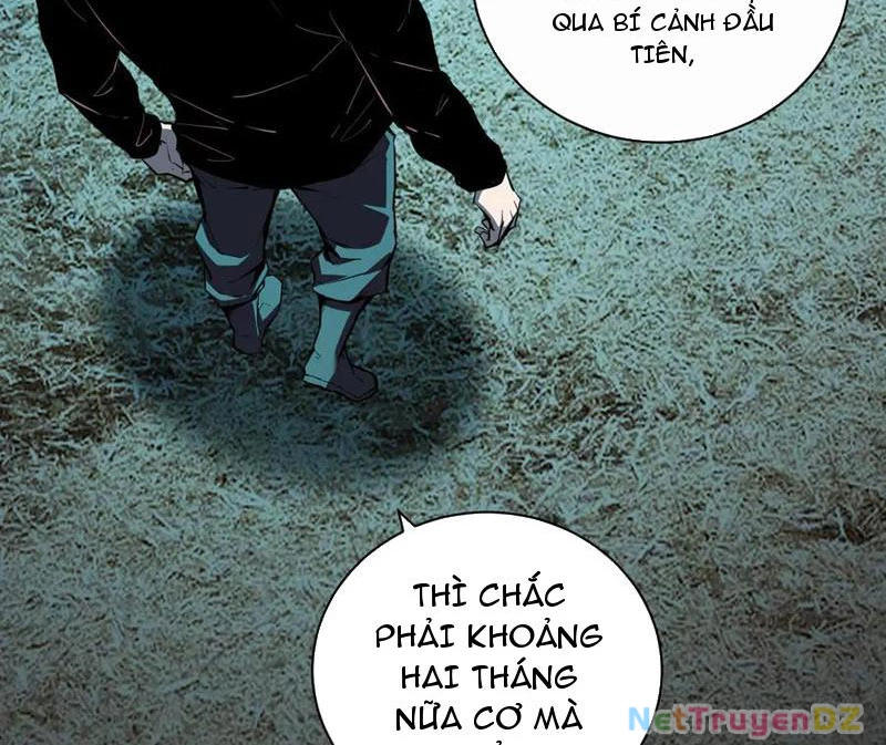 Mạt Nhật Thiên Hạ: Ta, Virus Quân Vương Chapter 28 - Next Chapter 29