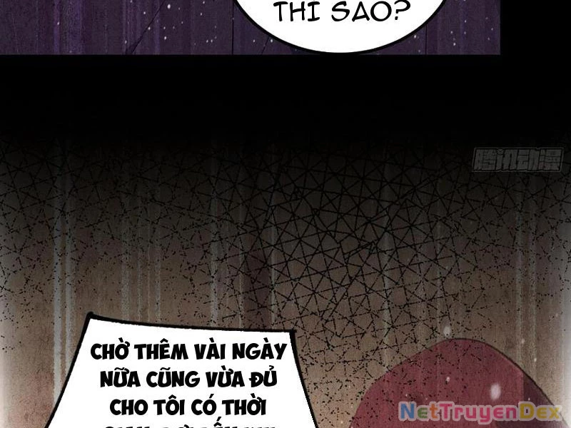 Ảo Ma! Ta Mở Lớp Huấn Luyện Nữ Đế! Chapter 56 - Trang 3