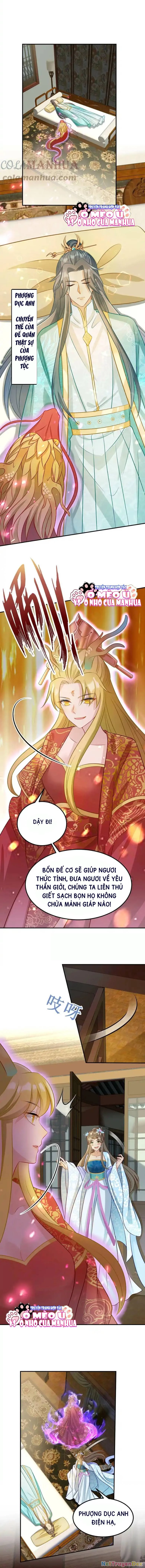 Thiên Tài Manh Bảo , Mẫu Thân Nghịch Thiên Bật Hack Rồi! Chapter 1 - Next Chapter 2