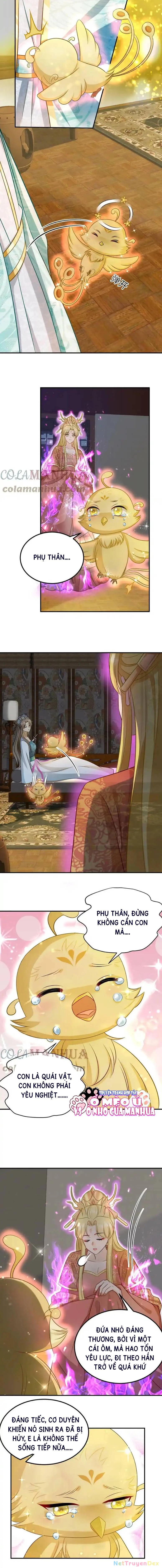 Thiên Tài Manh Bảo , Mẫu Thân Nghịch Thiên Bật Hack Rồi! Chapter 2 - Next Chapter 3