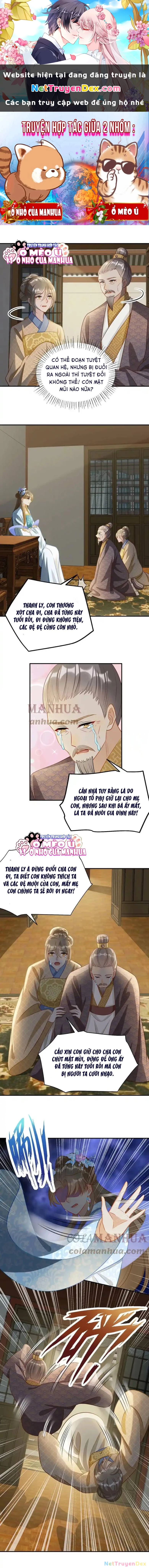 Thiên Tài Manh Bảo , Mẫu Thân Nghịch Thiên Bật Hack Rồi! Chapter 7 - Next Chapter 8