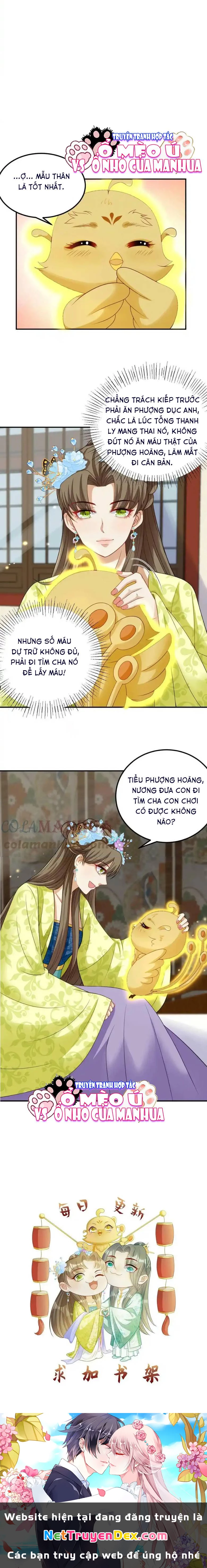 Thiên Tài Manh Bảo , Mẫu Thân Nghịch Thiên Bật Hack Rồi! Chapter 12 - Trang 2