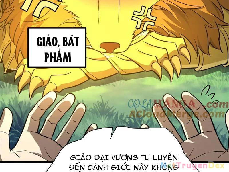 Toàn Cầu Cao Võ Chapter 291 - Next Chapter 292