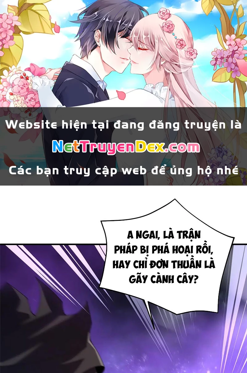 Thần Sủng Tiến Hóa Chapter 372 - Trang 4