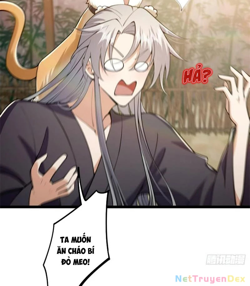 Ta Xuyên Không Với Max Điểm Mị Lực Chapter 36 - Trang 4