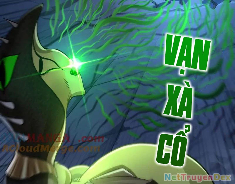 Quỷ Dị Xâm Lấn, Ta Đoạt Xá Tử Thần Nghịch Tập Xưng Vương Chapter 25 - Trang 4