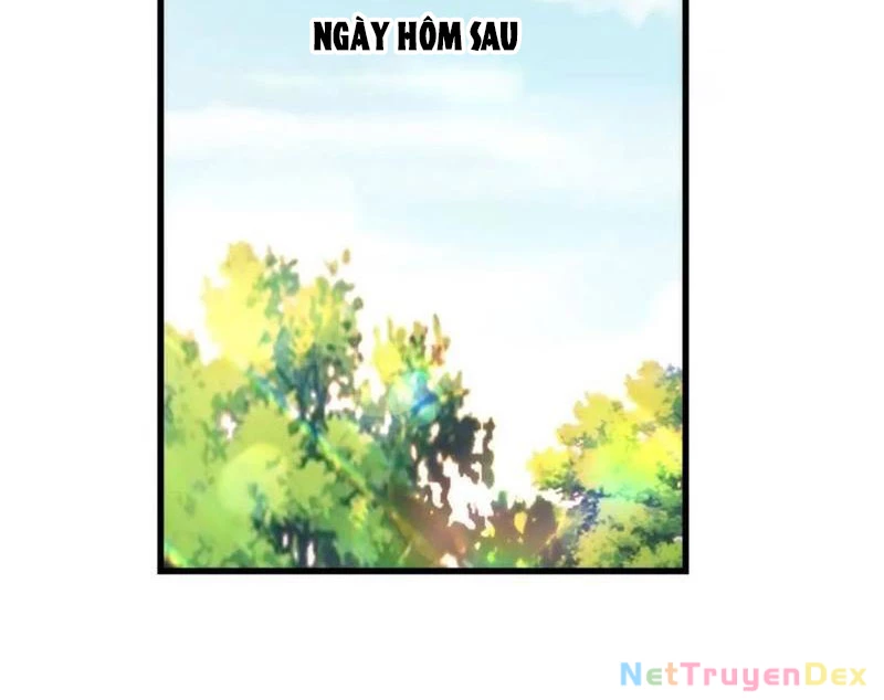 Trọng Sinh Không Làm Chạn Vương, Tôi Một Mình Nạp Game Thăng Cấp Chapter 185 - Next Chapter 186