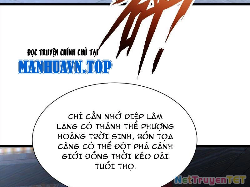 Hệ Thống Hèn Mọn Quỳ Xuống Cầu Xin Ta Vô Địch Chapter 32 - Trang 4