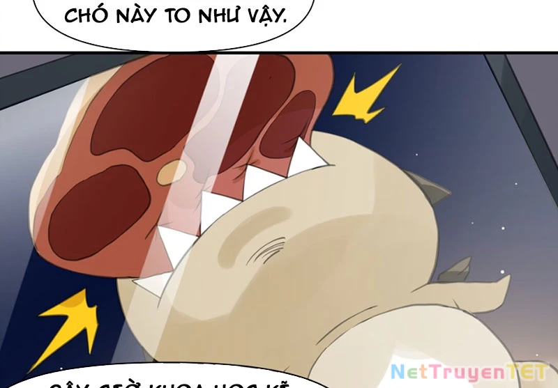 Xuyên Không Tới Thế Giới Tu Chân Nhưng Ta Vẫn Có Mạng Internet Chapter 12 - Trang 2