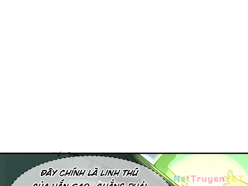 Xuyên Không Tới Thế Giới Tu Chân Nhưng Ta Vẫn Có Mạng Internet Chapter 13 - Next Chapter 14