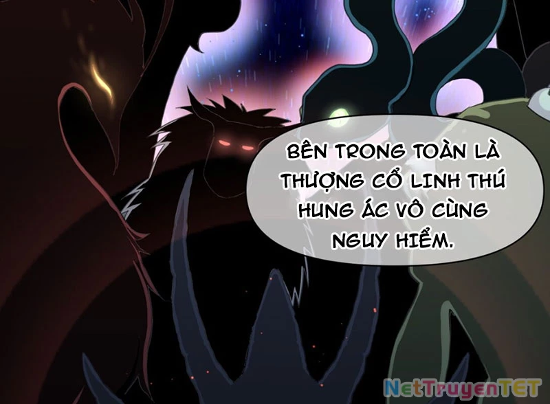 Xuyên Không Tới Thế Giới Tu Chân Nhưng Ta Vẫn Có Mạng Internet Chapter 15 - Next Chapter 16