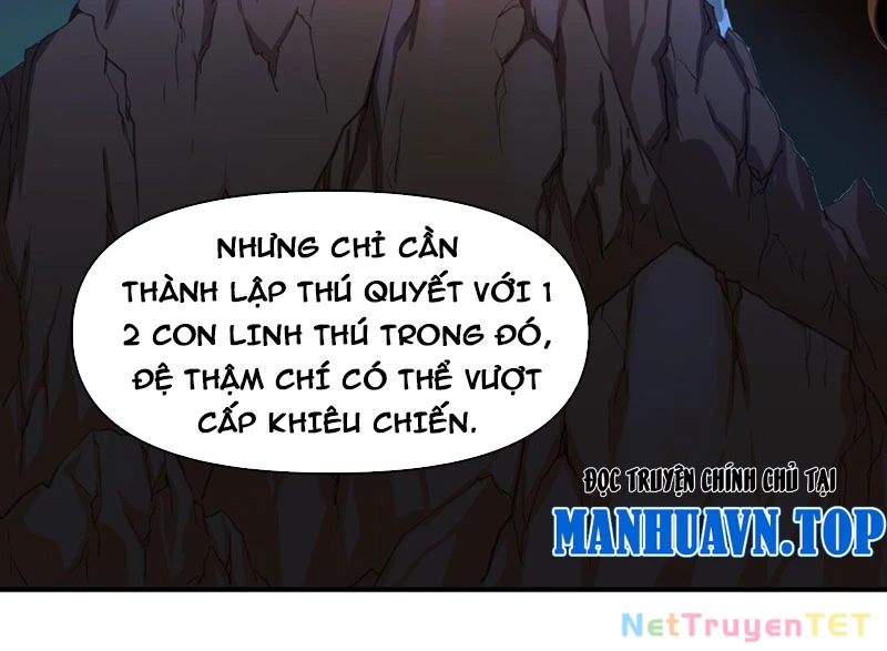 Xuyên Không Tới Thế Giới Tu Chân Nhưng Ta Vẫn Có Mạng Internet Chapter 15 - Next Chapter 16