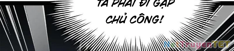 Chàng Rể Mạnh Nhất Lịch Sử Chapter 263 - Trang 4