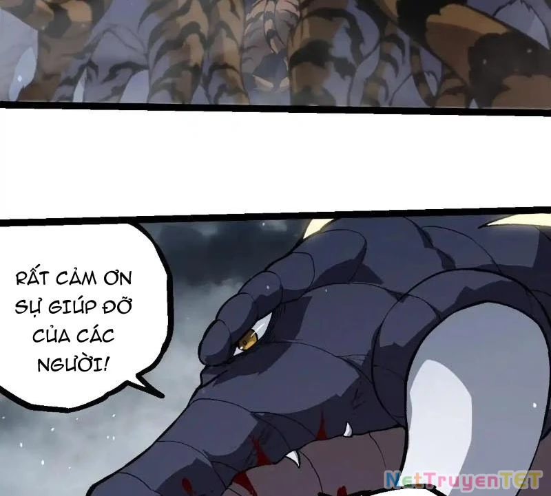 Chuyển Sinh Thành Liễu Đột Biến Chapter 321 - Next Chapter 322
