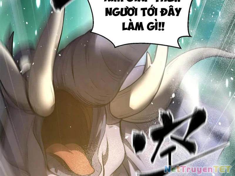 Toàn Cầu Cao Võ Chapter 294 - Trang 4