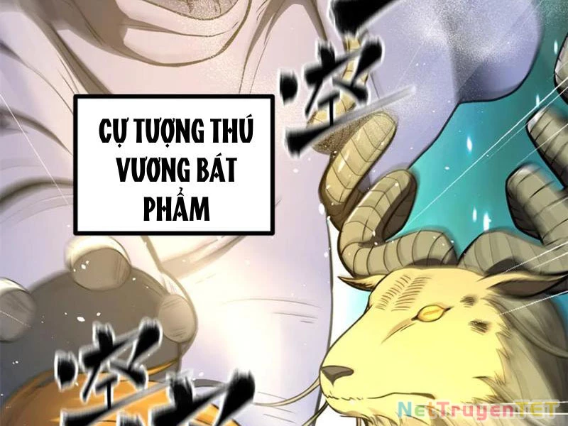 Toàn Cầu Cao Võ Chapter 294 - Trang 4