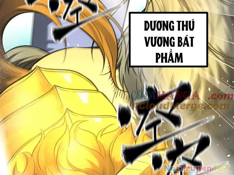 Toàn Cầu Cao Võ Chapter 294 - Trang 4