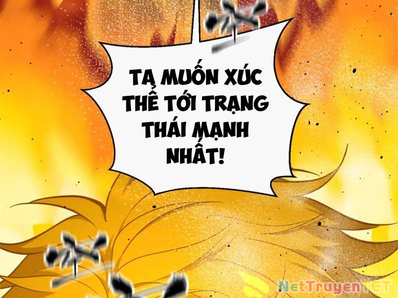 Toàn Cầu Cao Võ Chapter 294 - Trang 4