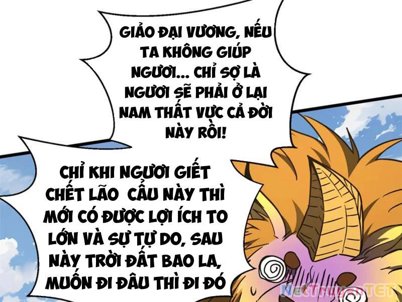 Toàn Cầu Cao Võ Chapter 294 - Trang 4