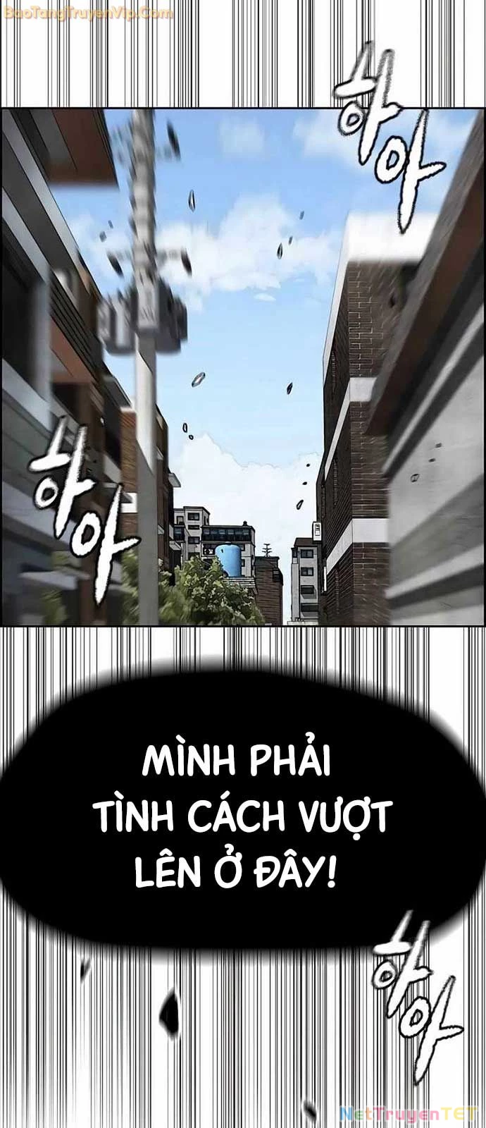 Thể Thao Cực Hạn Chapter 533 - Next 