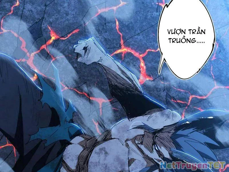 Ta Là Tà Đế Chapter 541 - Next Chapter 541