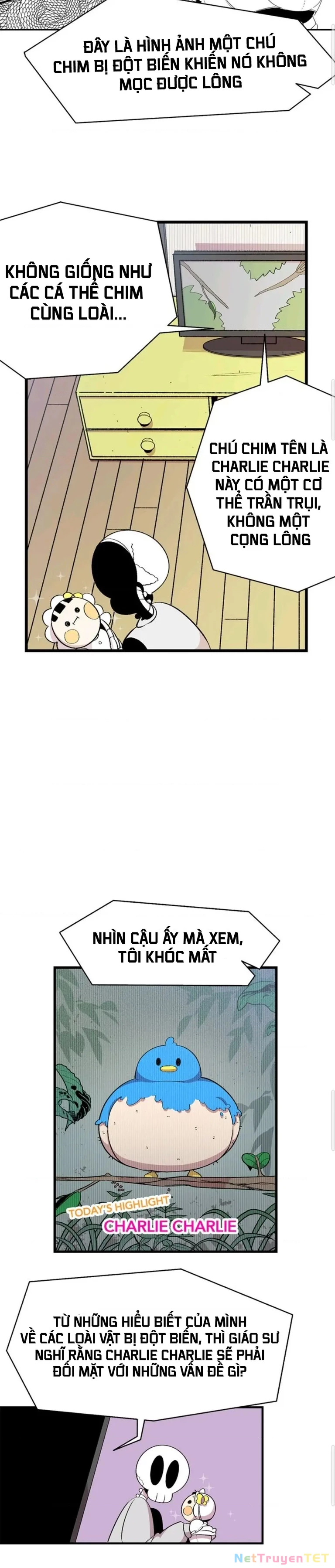 Mèo con của skelly Chapter 3 - Next 