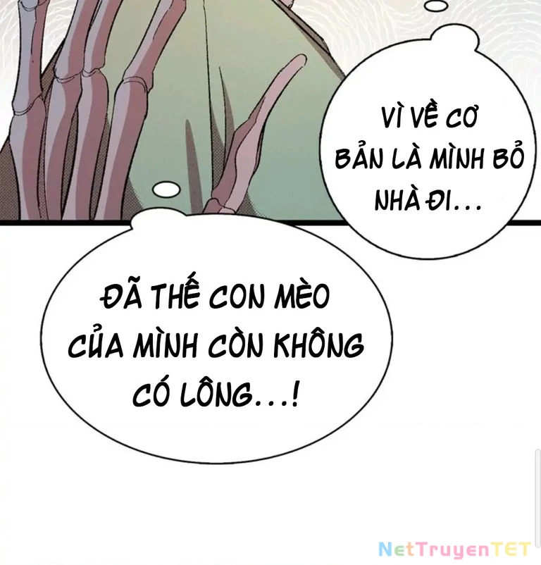 Mèo con của skelly Chapter 3 - Next 