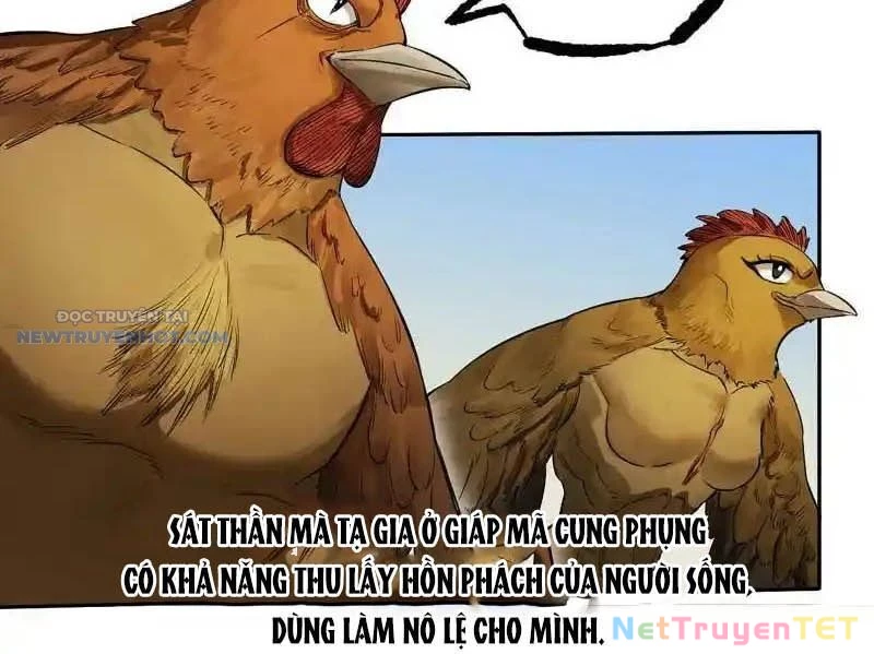 Truyền Võ Chapter 420 - Trang 4