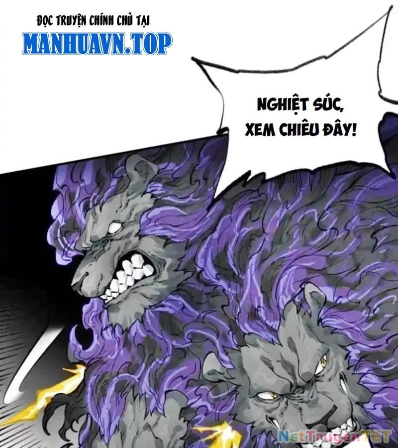 Truyền Võ Chapter 443 - Trang 4