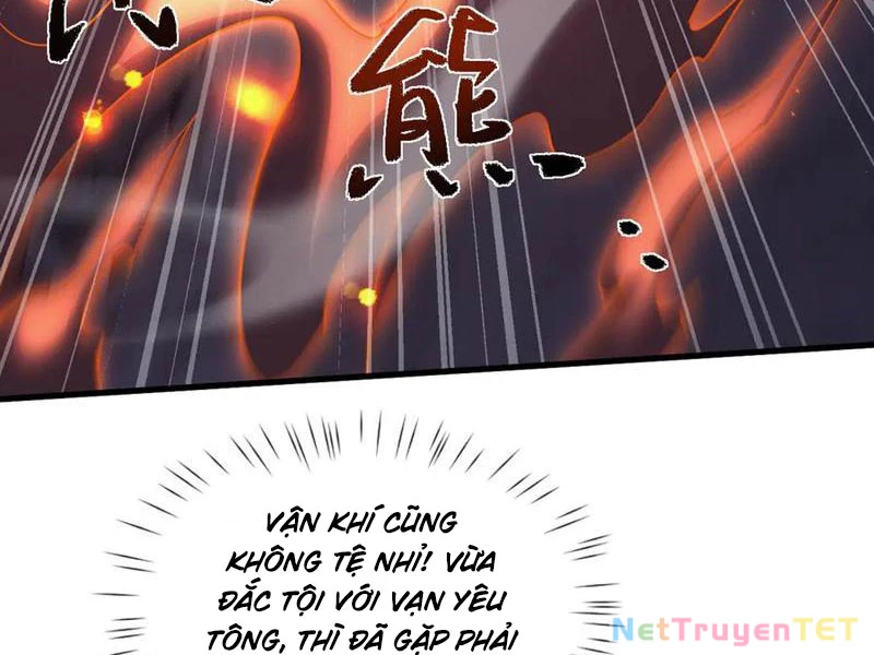 Toàn Chức Kiếm Tu Chapter 34 - Next Chapter 35