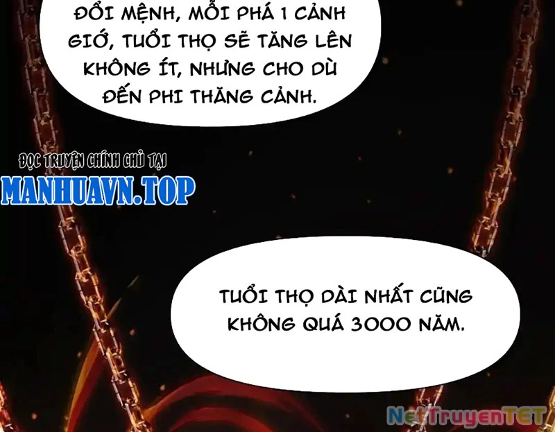 Xuyên Không Tới Thế Giới Tu Chân Nhưng Ta Vẫn Có Mạng Internet Chapter 31 - Trang 2