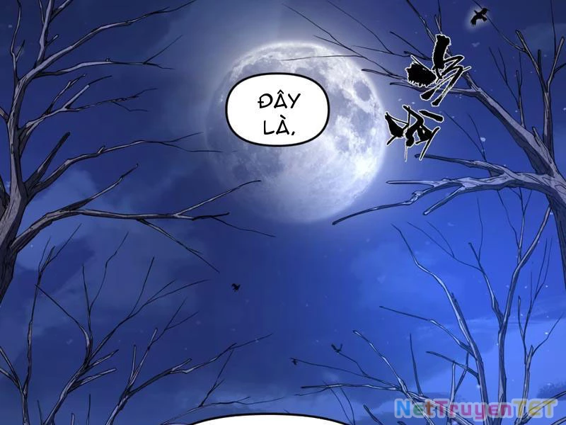 Xuyên Không Đến Thế Giới Tu Chân, Ta Vậy Mà Kích Hoạt Được Hệ Thống Plants vs Zombie Chapter 1 - Trang 3