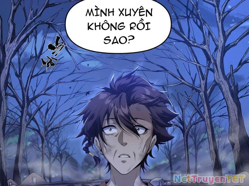 Xuyên Không Đến Thế Giới Tu Chân, Ta Vậy Mà Kích Hoạt Được Hệ Thống Plants vs Zombie Chapter 1 - Trang 3