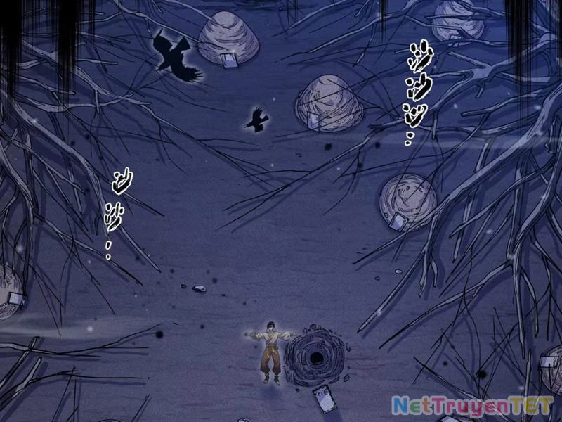 Xuyên Không Đến Thế Giới Tu Chân, Ta Vậy Mà Kích Hoạt Được Hệ Thống Plants vs Zombie Chapter 1 - Trang 3