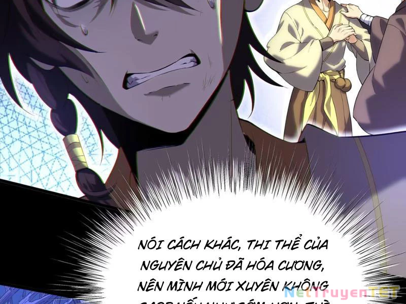 Xuyên Không Đến Thế Giới Tu Chân, Ta Vậy Mà Kích Hoạt Được Hệ Thống Plants vs Zombie Chapter 1 - Trang 3