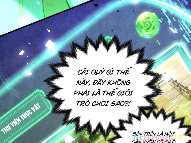 Xuyên Không Đến Thế Giới Tu Chân, Ta Vậy Mà Kích Hoạt Được Hệ Thống Plants vs Zombie Chapter 1 - Trang 3
