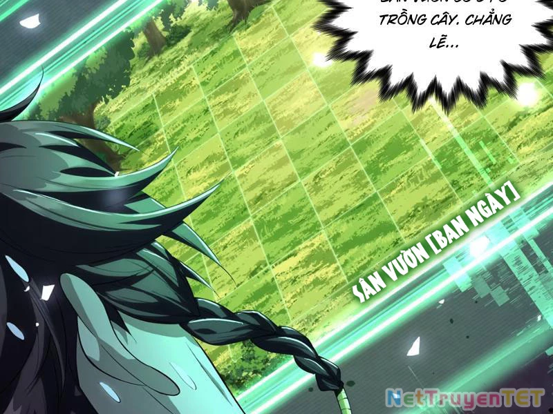 Xuyên Không Đến Thế Giới Tu Chân, Ta Vậy Mà Kích Hoạt Được Hệ Thống Plants vs Zombie Chapter 1 - Trang 3