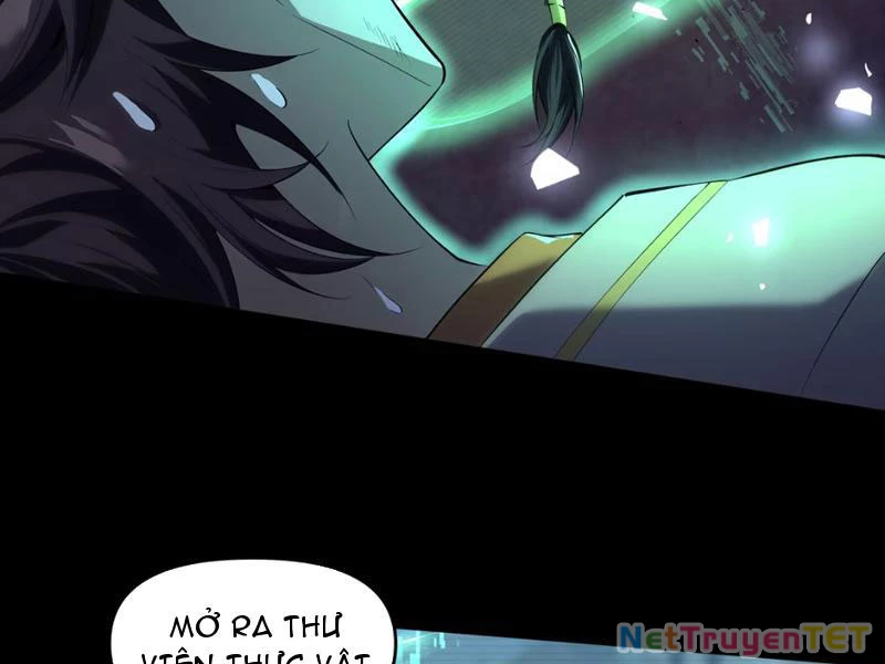 Xuyên Không Đến Thế Giới Tu Chân, Ta Vậy Mà Kích Hoạt Được Hệ Thống Plants vs Zombie Chapter 1 - Trang 3