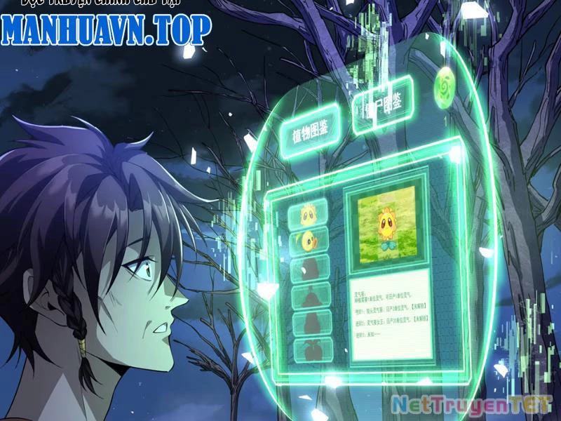 Xuyên Không Đến Thế Giới Tu Chân, Ta Vậy Mà Kích Hoạt Được Hệ Thống Plants vs Zombie Chapter 1 - Trang 3