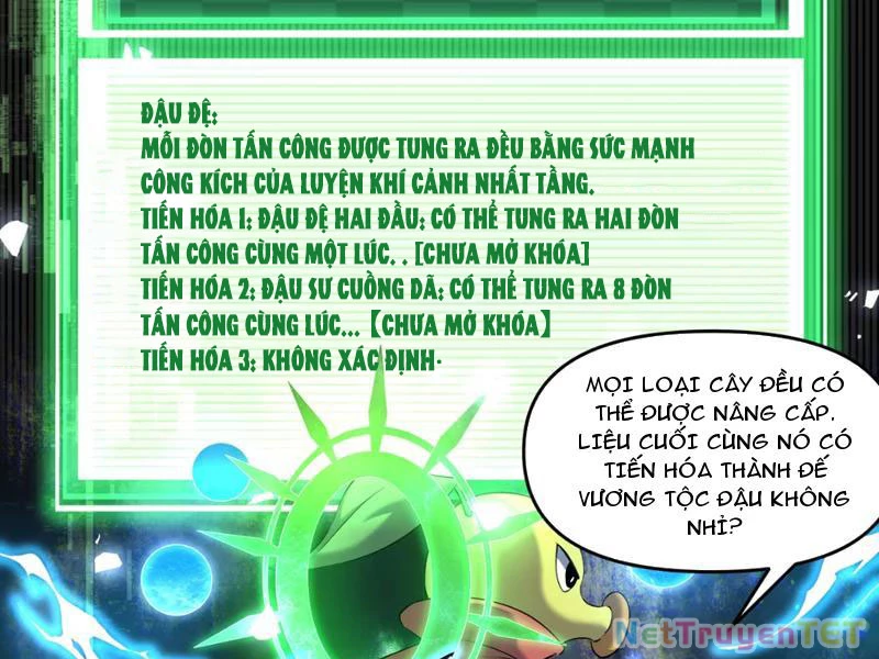 Xuyên Không Đến Thế Giới Tu Chân, Ta Vậy Mà Kích Hoạt Được Hệ Thống Plants vs Zombie Chapter 1 - Trang 3