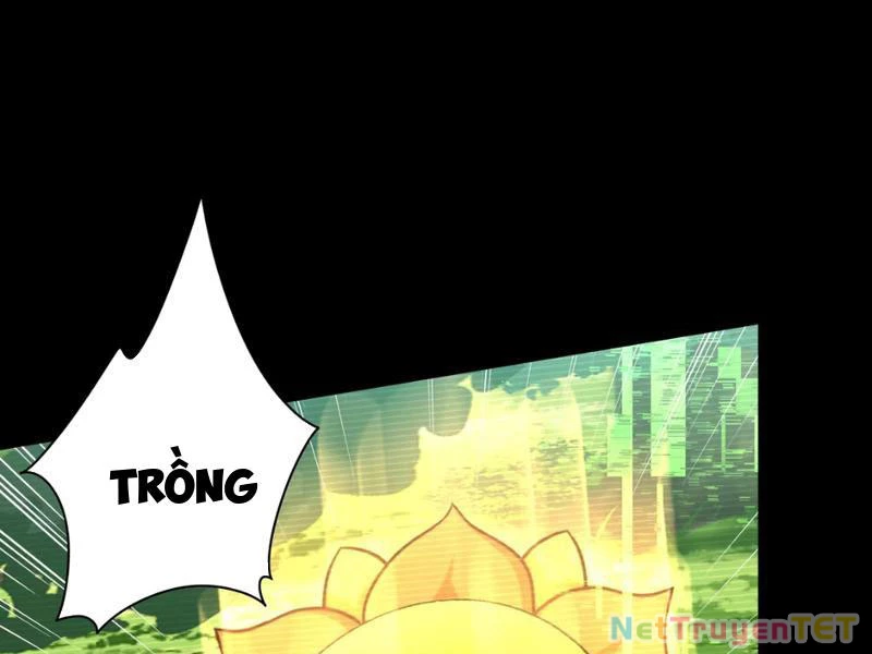 Xuyên Không Đến Thế Giới Tu Chân, Ta Vậy Mà Kích Hoạt Được Hệ Thống Plants vs Zombie Chapter 1 - Trang 3