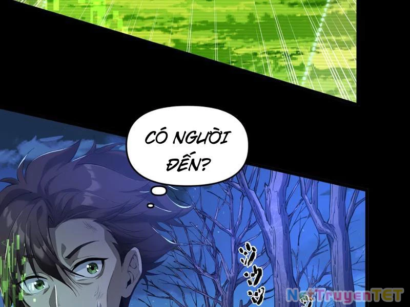 Xuyên Không Đến Thế Giới Tu Chân, Ta Vậy Mà Kích Hoạt Được Hệ Thống Plants vs Zombie Chapter 1 - Trang 3