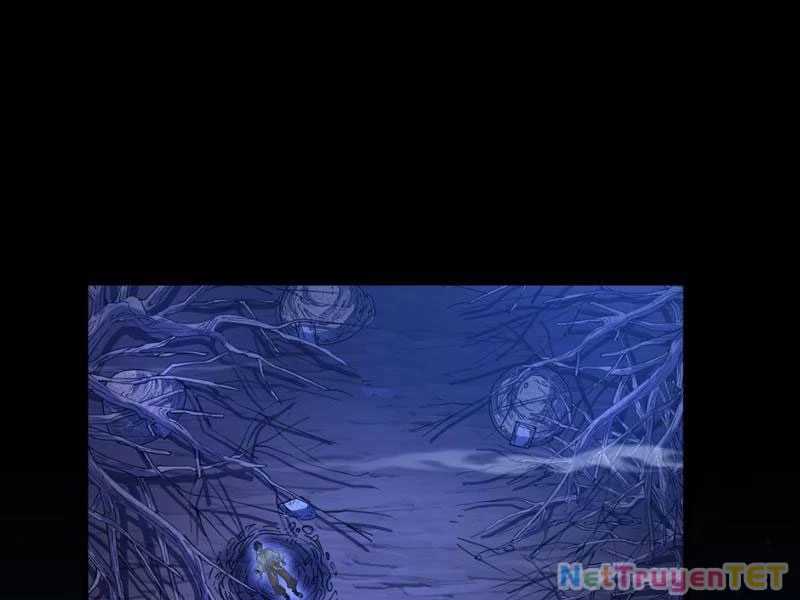 Xuyên Không Đến Thế Giới Tu Chân, Ta Vậy Mà Kích Hoạt Được Hệ Thống Plants vs Zombie Chapter 1 - Trang 3