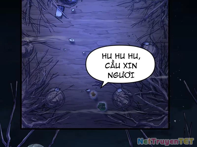 Xuyên Không Đến Thế Giới Tu Chân, Ta Vậy Mà Kích Hoạt Được Hệ Thống Plants vs Zombie Chapter 1 - Trang 3