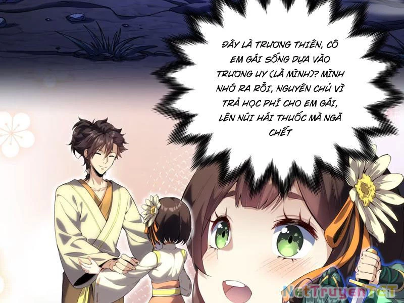 Xuyên Không Đến Thế Giới Tu Chân, Ta Vậy Mà Kích Hoạt Được Hệ Thống Plants vs Zombie Chapter 1 - Trang 3