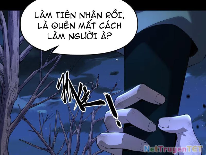 Xuyên Không Đến Thế Giới Tu Chân, Ta Vậy Mà Kích Hoạt Được Hệ Thống Plants vs Zombie Chapter 1 - Trang 3